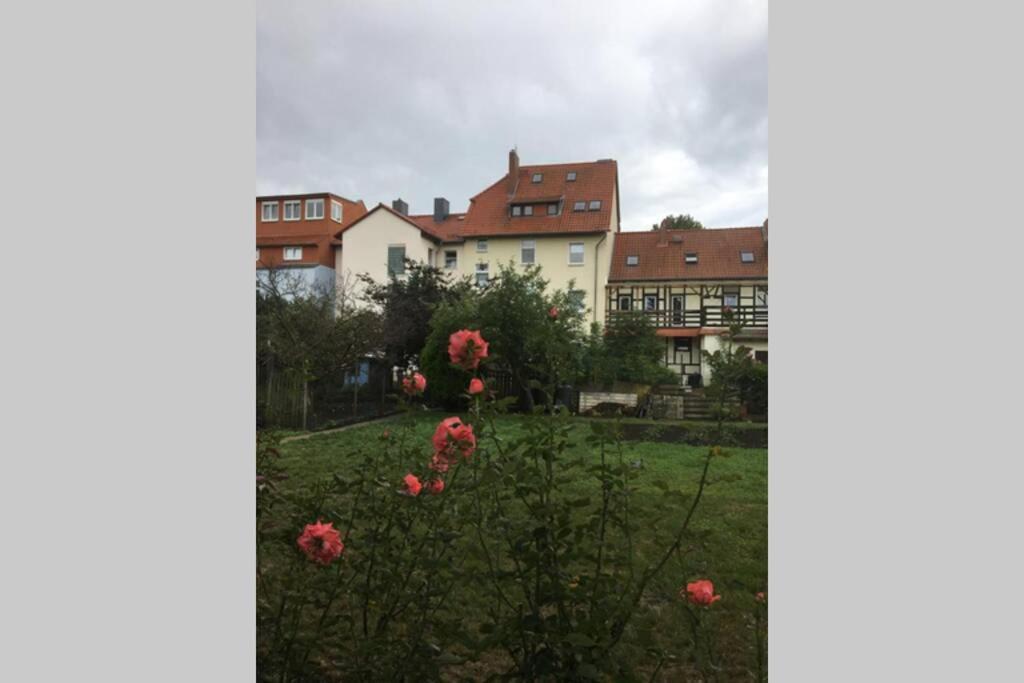 4 Sterne Ferienwohnung , 65 Qm Quedlinburg Bagian luar foto